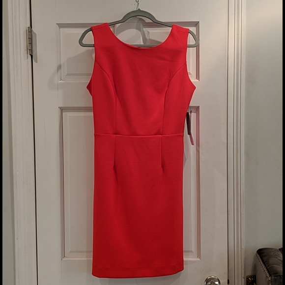 🌹NWT Betsey Johnson Dress!! - Picture 5 of 6